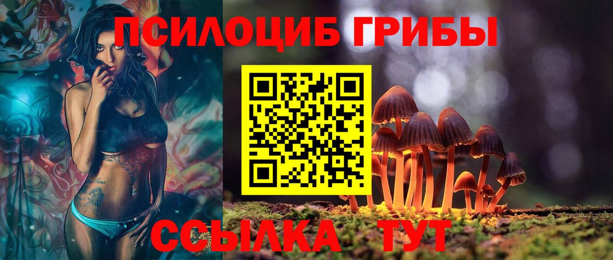 Менделеевск  купить  цена  Вход с VPN  Псилоцибиновые грибы ЛСД  Галлюциногенные грибы MAGIC MUSHROOMS 